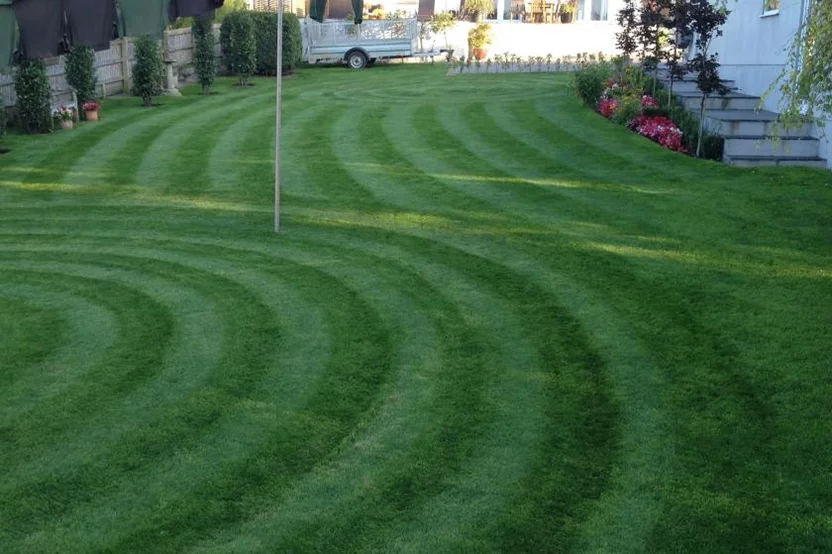 Circular lawn stripes around landscaping features