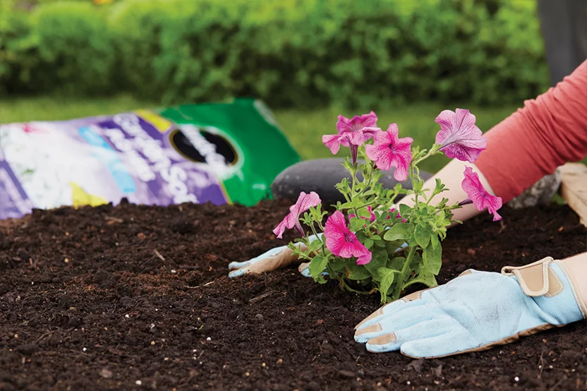 Garden Soils