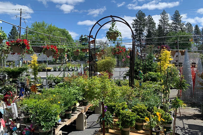 Garden Center