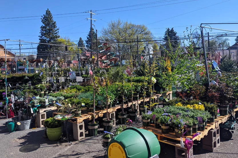 Garden Center