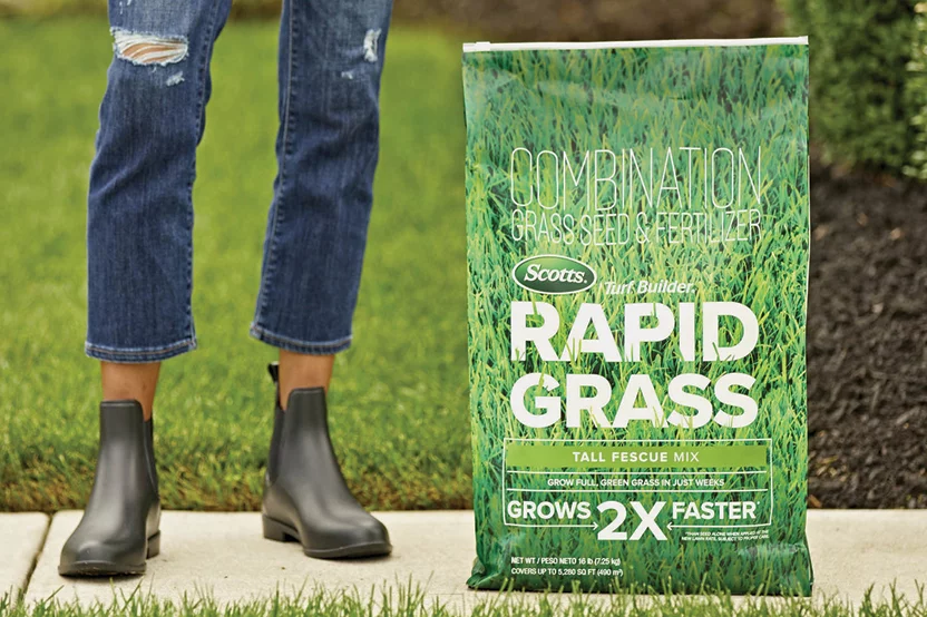 grass seed