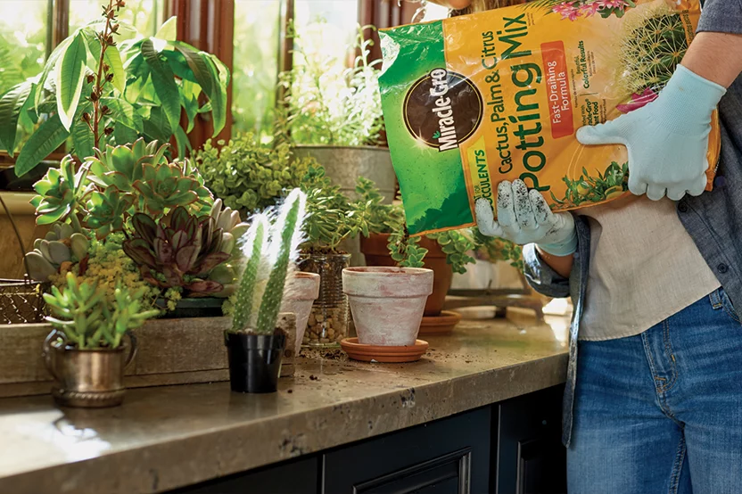 Potting Mixes