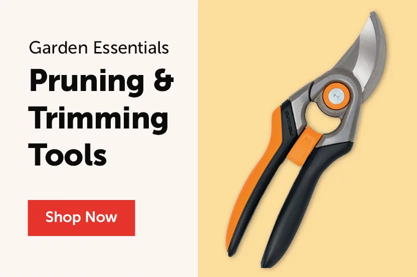 Pruning Tools 