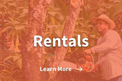 Rentals - Learn more