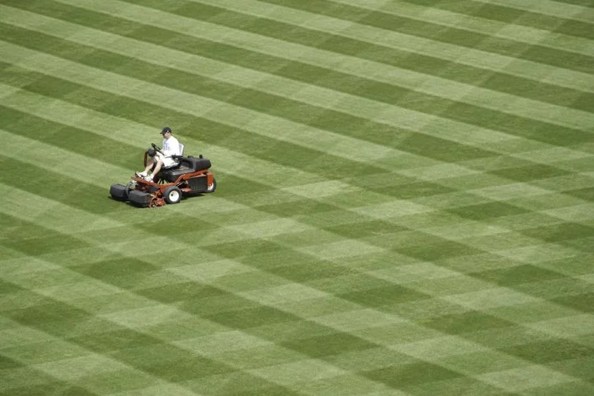 Chessboard lawn stripes on baseball field