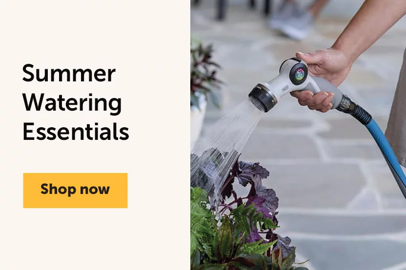 Summer Watering Essentials