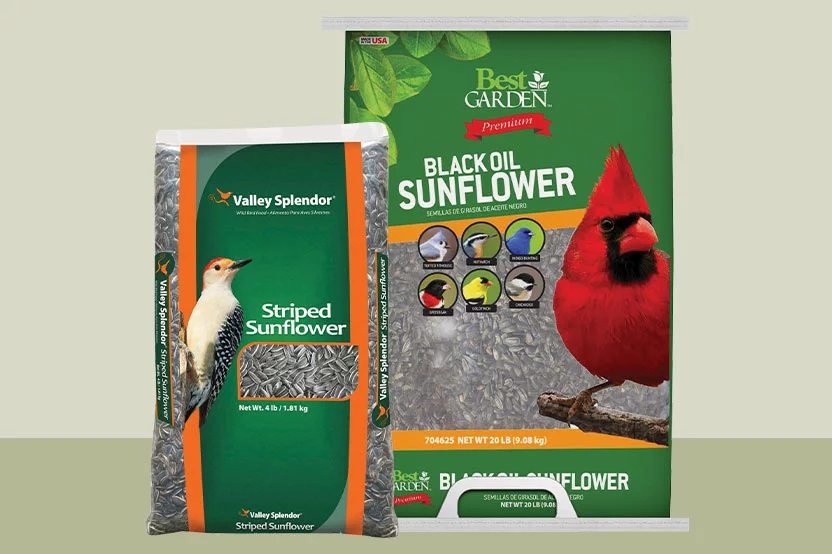 Do it Best sunflower bird seed