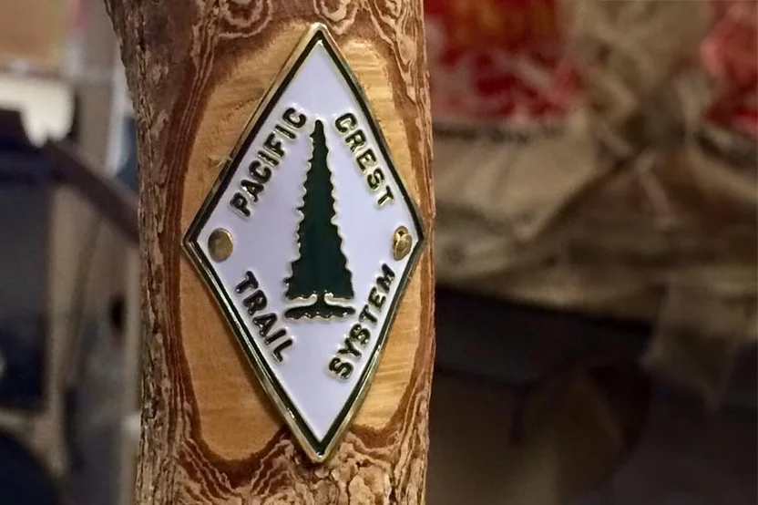 Trail pin attached to a tree trunk