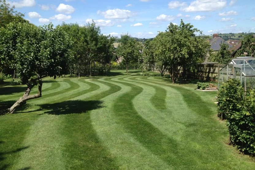 Curving or wavy lawn stripes