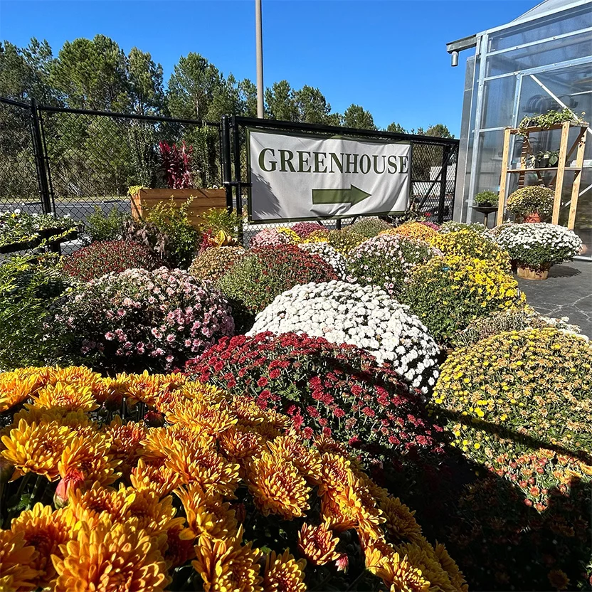Greenhouse selection
