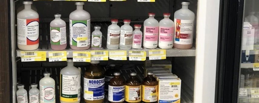 Animal Health