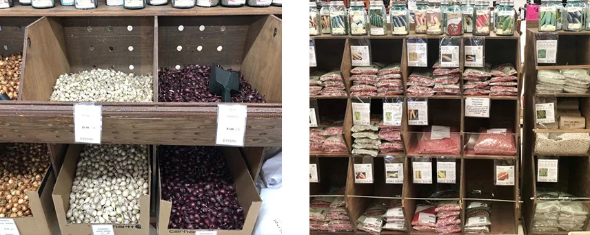 Bulk Vegetable Seeds