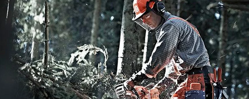 Chainsaws