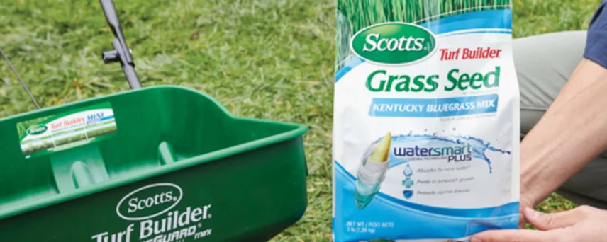 Scotts Lawn Care Products - Grass Seed