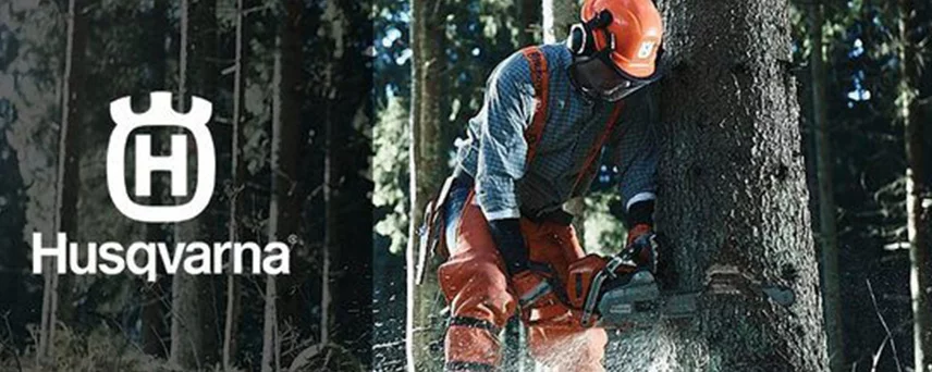 lumberjack sawing a tree down