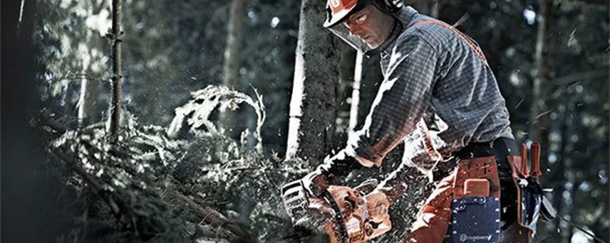man using chainsaw to cut tree limbs
