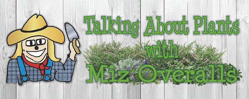 Talking about plants with Miz Overalls