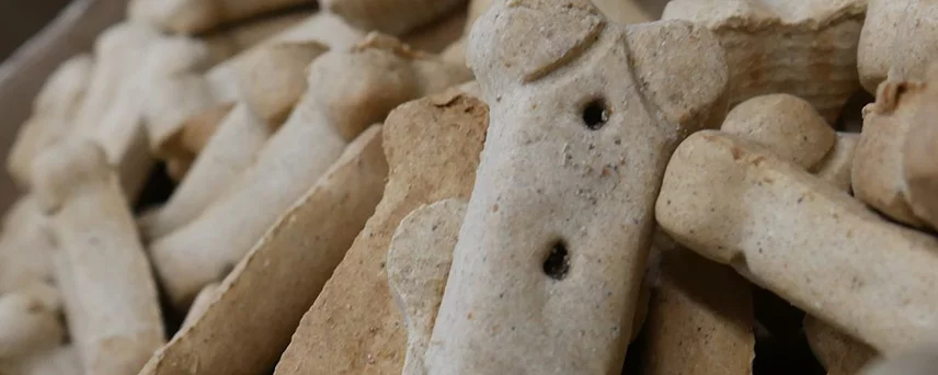 Dog Treats
