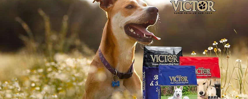 Victor at Trading Post Hardware