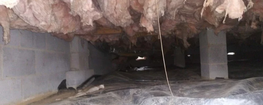 Wet/Damp Crawlspace