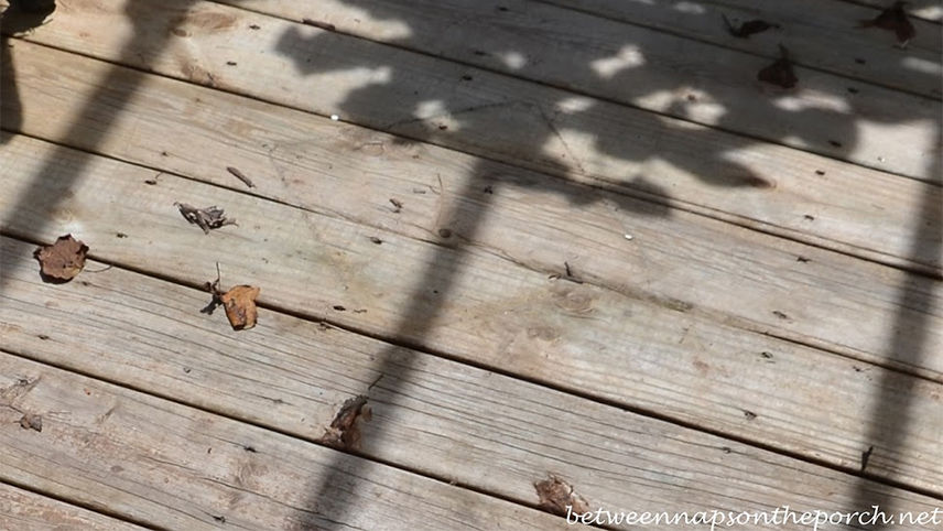 Wood deck after prep