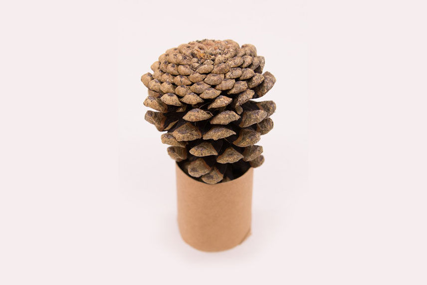 Pinecone upside down in a toilet paper holder ready to be painted 