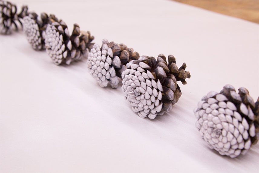 a row of primed pinecones 