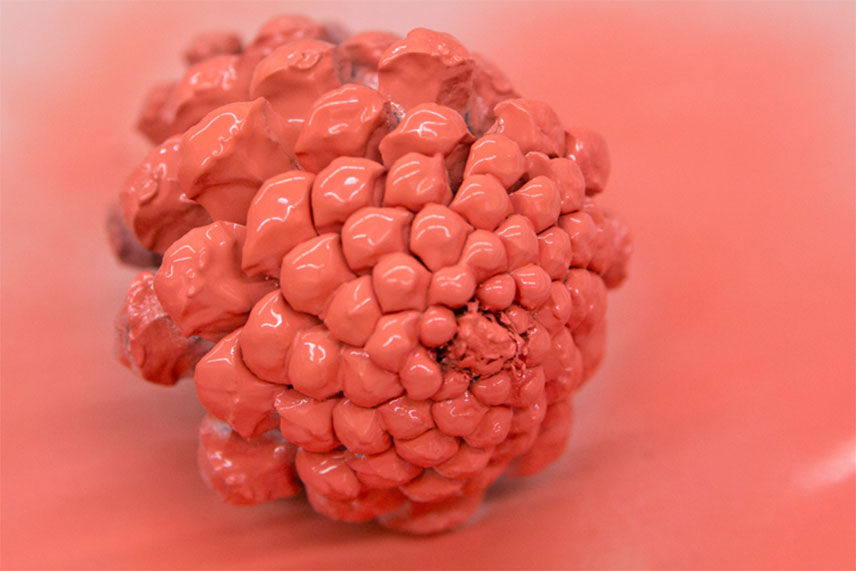 completed coated pinecone in pink paint 