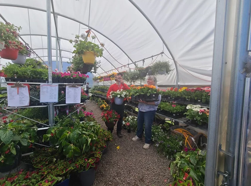 Greenhouse