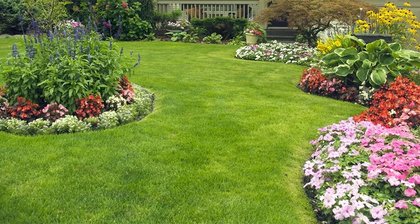 Lawn and Garden