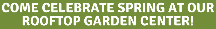 Come Celebrate Spring at Our Rooftop Garden Center!