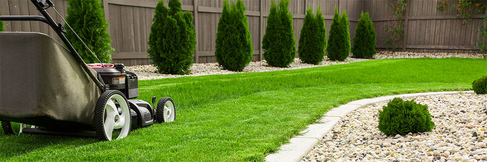 Lawn mower cutting grass in a backyard