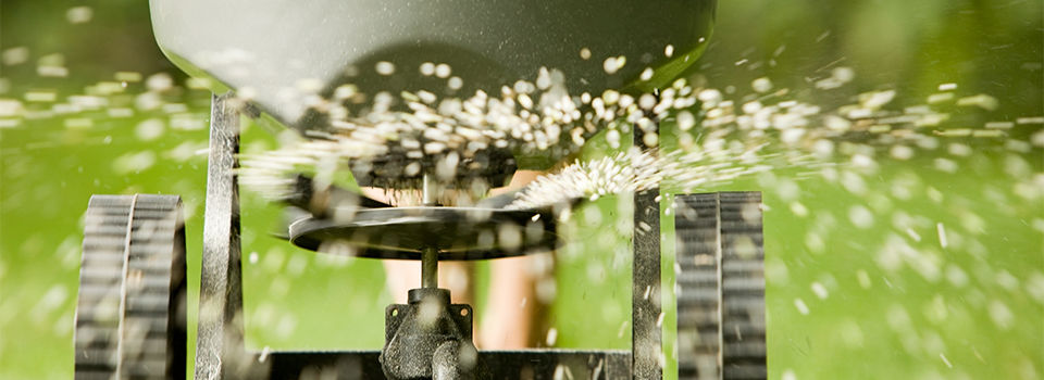Lawn fertilizer