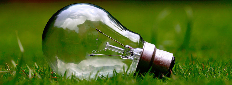 A clear, vintage-style lightbulb is lying on green grass.