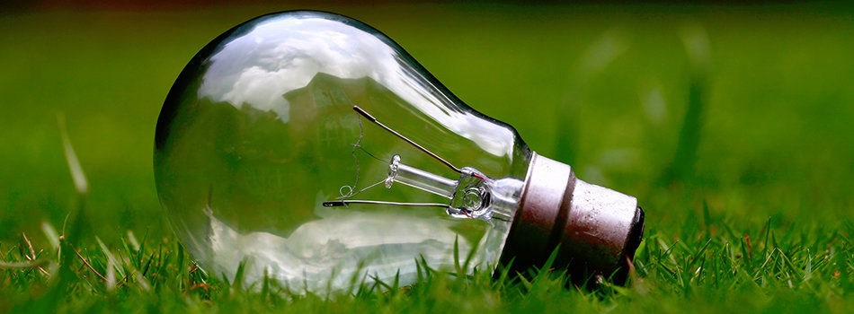 Types of Light Bulbs  Everything You Need To Know!