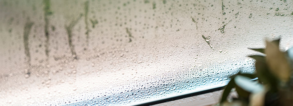 Window condensation