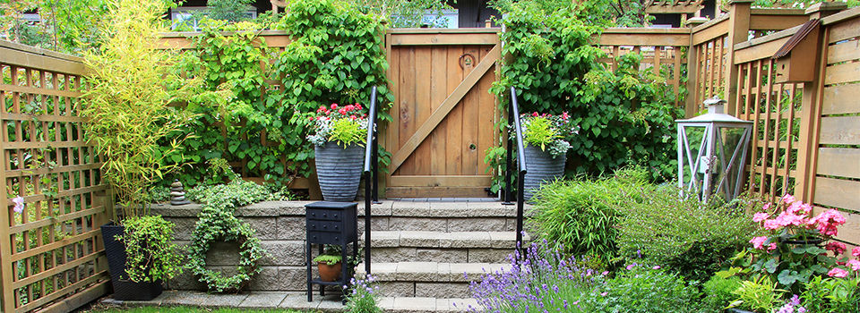 Backyard garden with fencing