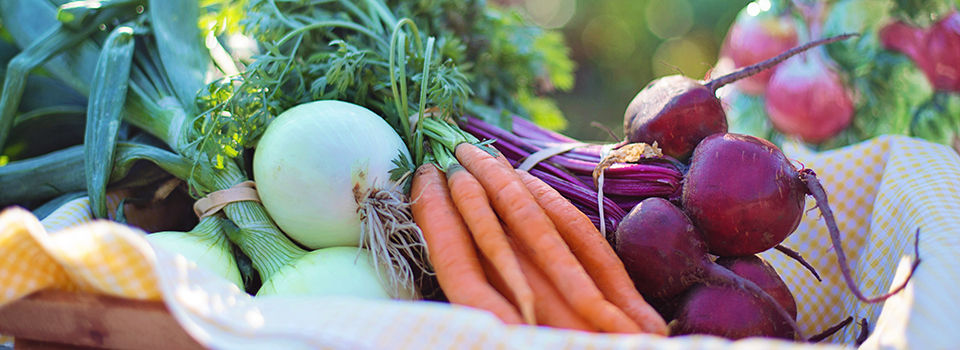 close up image of a fall vegetable harvest including onions, carrots, and beets