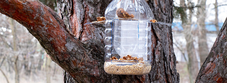 A homemade bird feeder