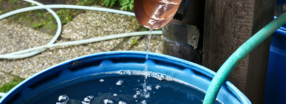 Water Draining into a Rain Barrel