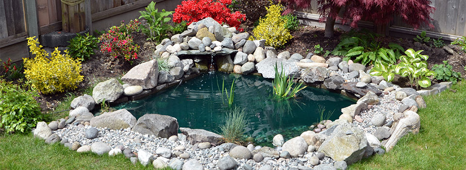 A backyard pond with a water fall