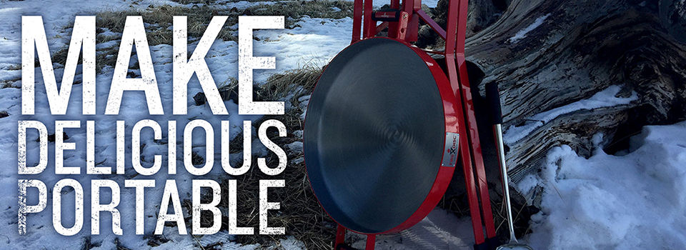 FireDisc leaned up against rotten tree stump with snow on the ground