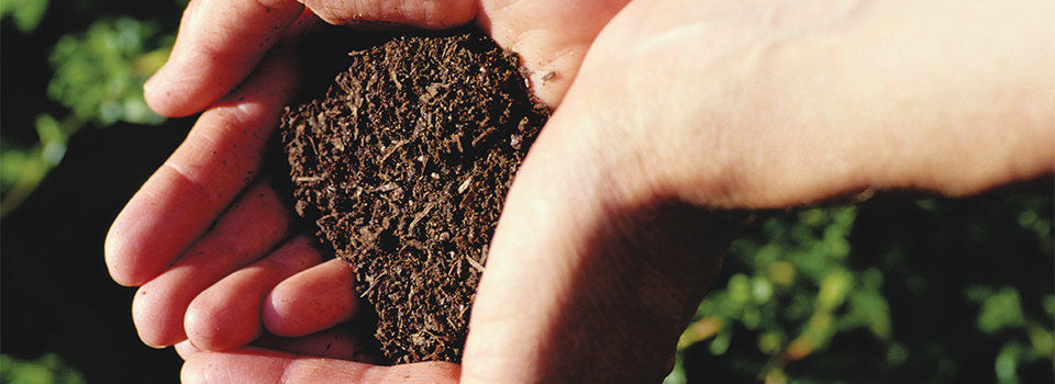 Person holding freshly composted dirt