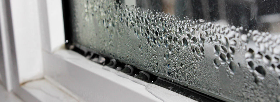 https://doitbest.scene7.com/is/image/doitbest/960x350-condensation-on-windows-how-to-fix-it-0126
