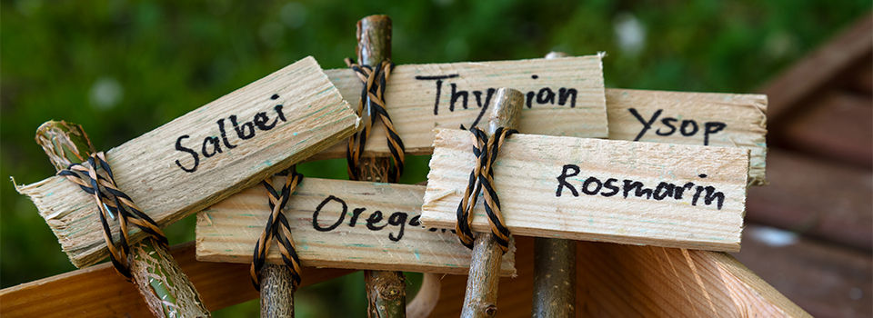Wooden plant marker garden stakes