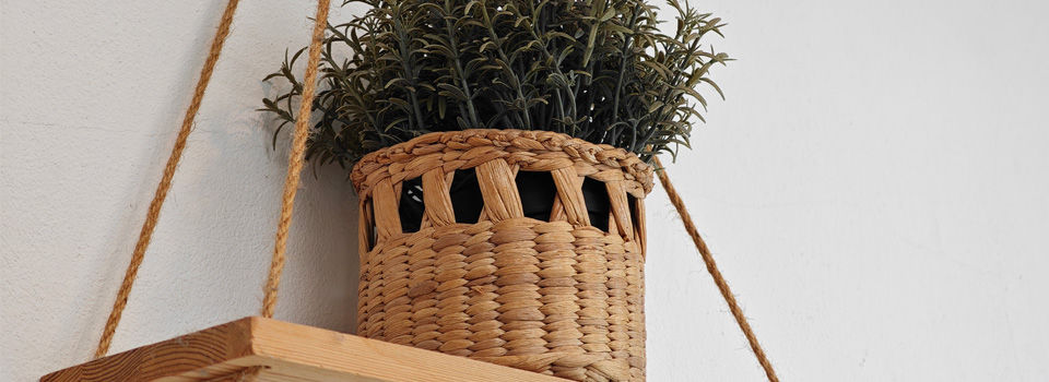 Hanging pot plant