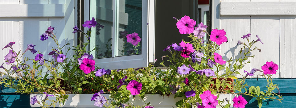 DIY Window Planter