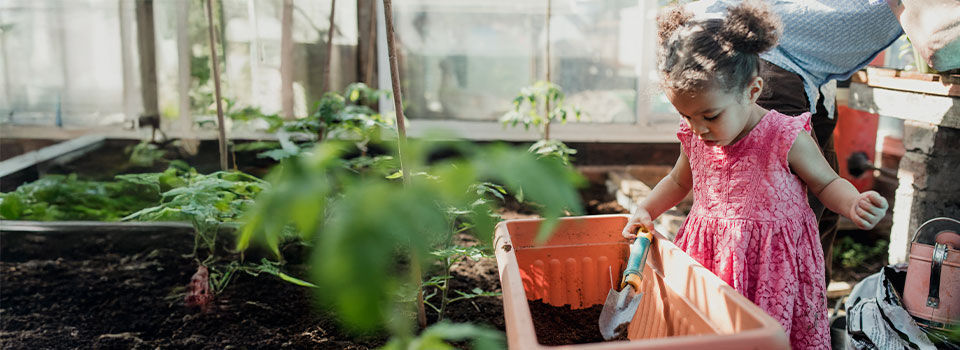 Little girl is planting flowers in a plant pot in her grandfathers greenhouse.