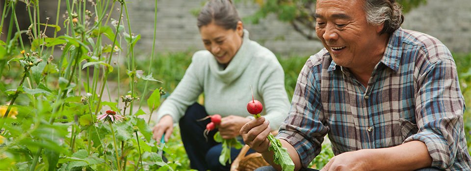 A couple working in the garden