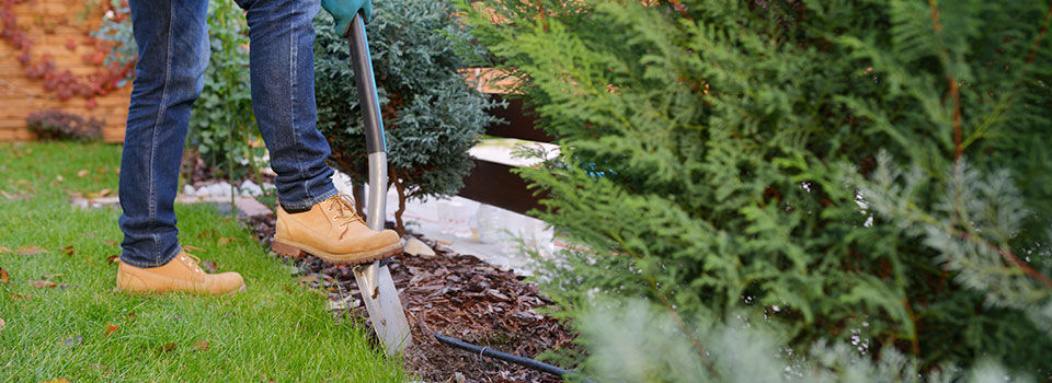 Person working in their landscaping sticking a shovel into the ground 